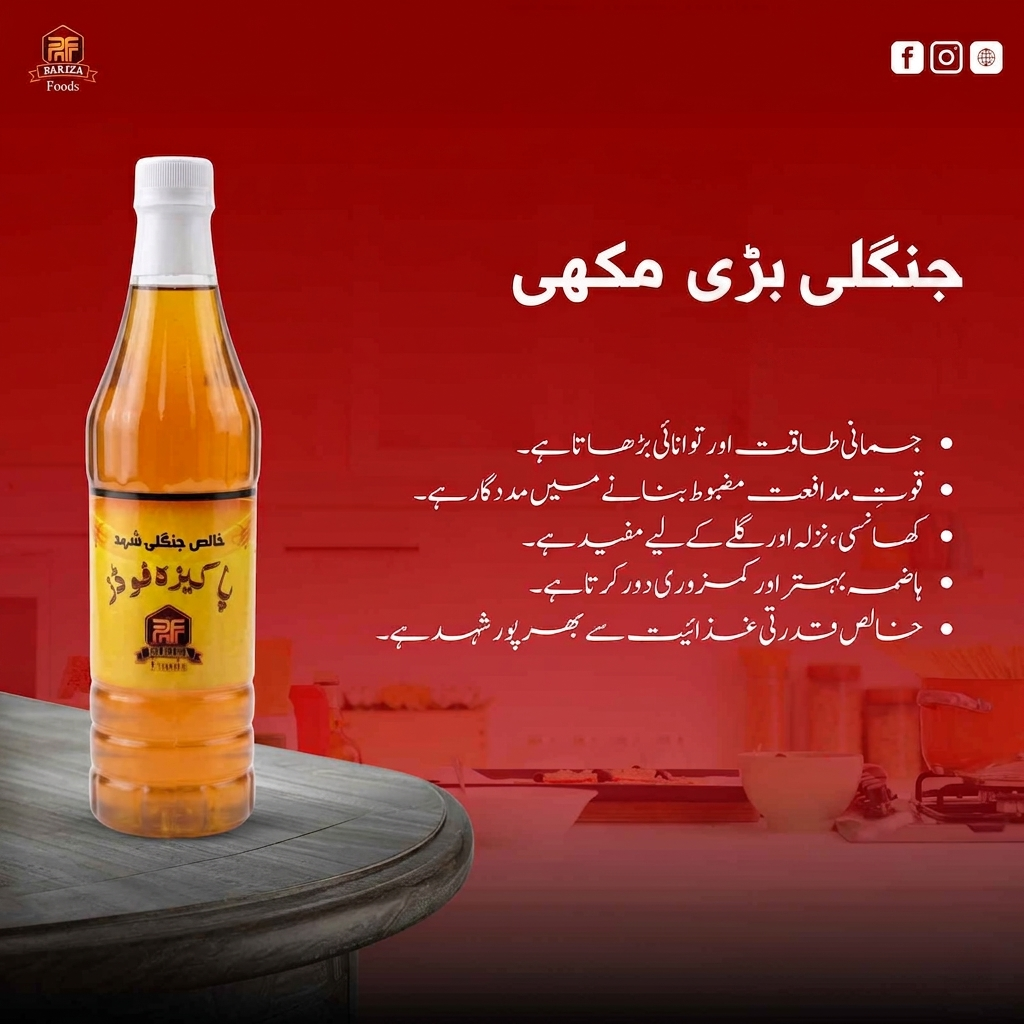 Pure Big Bee Honey Best Quality / جنگلی شہد بڑی مکھی